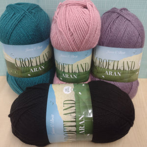 James C Brett Top 1 x 200g Ball Croftland Aran with 20% wool