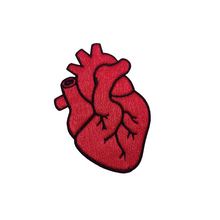 Motif Patch Medical Anatomy Heart